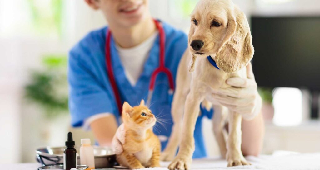 vaccinations-for-pets